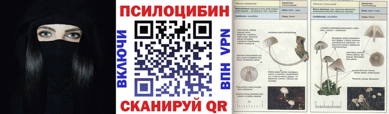 Псилоцибиновые грибы Psilocybine cubensis  дарнет шоп  Козельск 